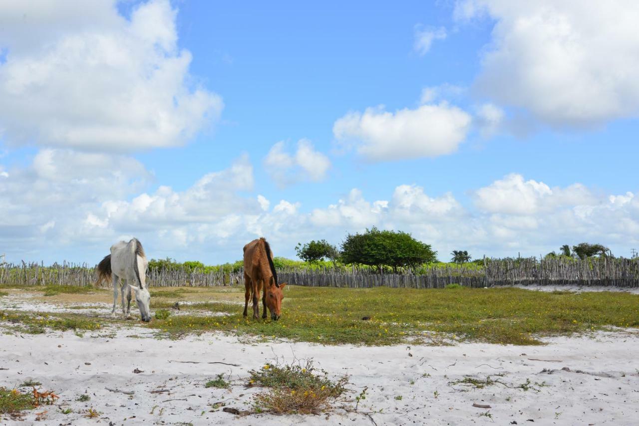 Vila Capininga Ecopousada Santo Amaro do Maranhao Exterior foto